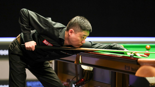 泰山队不仅 泰山队不仅