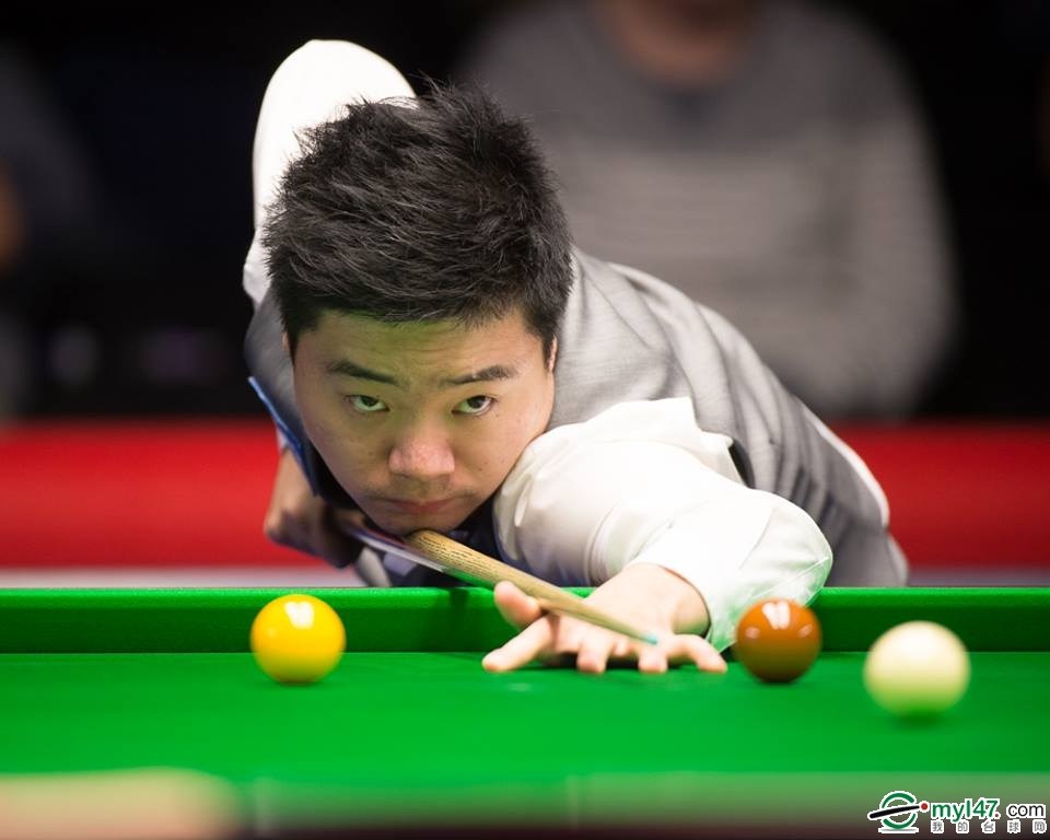 有组织的团 有组织的团