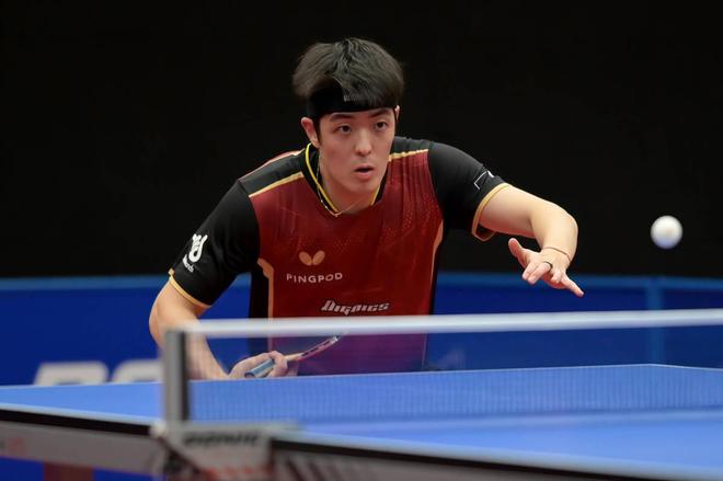 媒体的广泛 媒体的广泛