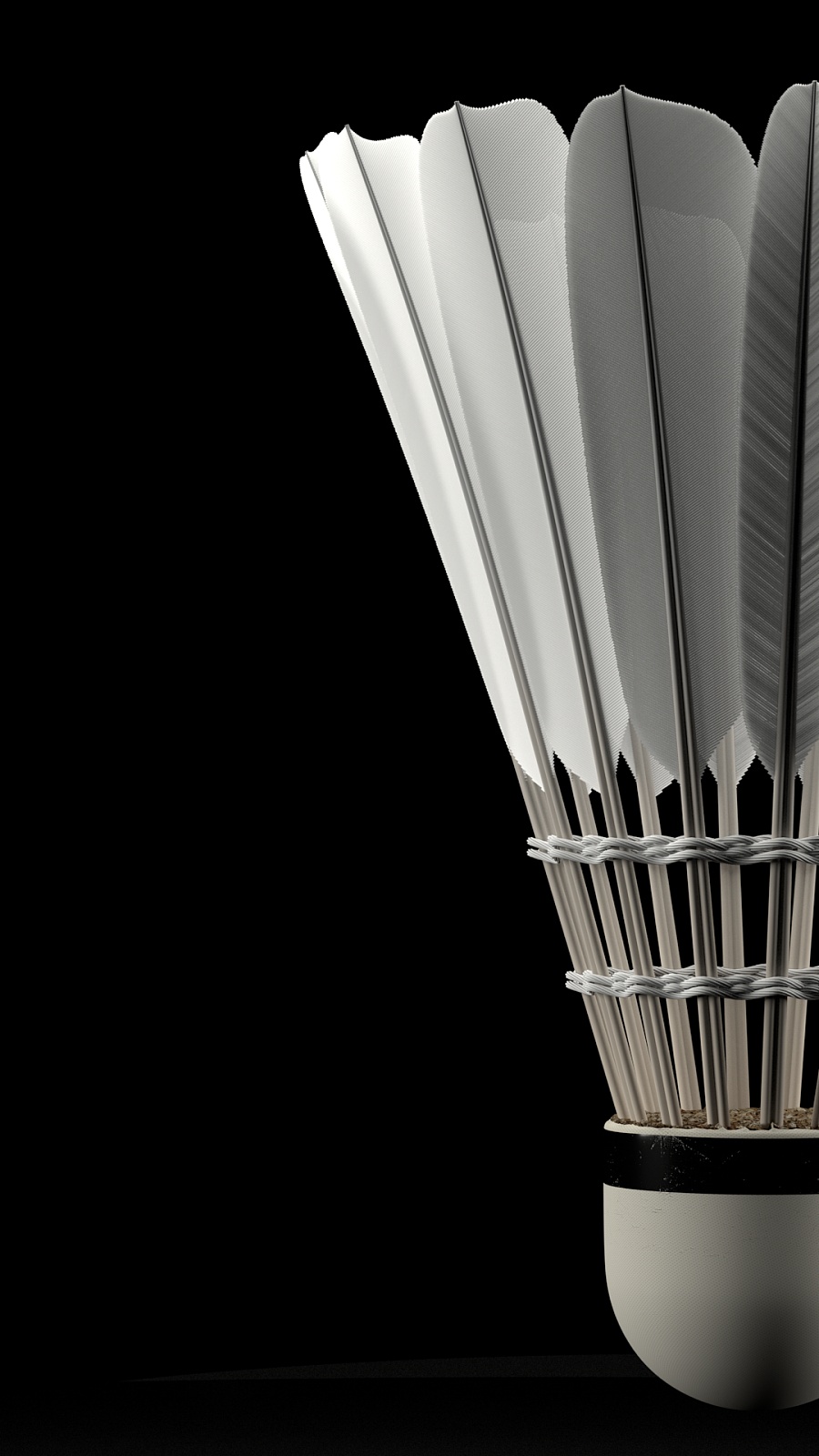 与限时攻城 与限时攻城